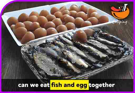 can we eat fish and egg together